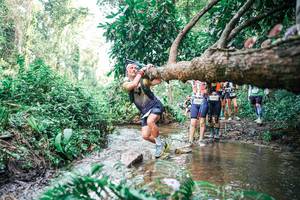 BIB: 
                            <button type="button" onclick="openModal(25515596)" class="btn btn-primary btn-sm float-right btn-popup" data-toggle="modal" data-target=".modal-high-quality">
                        <i class="fas fa-shopping-cart"></i> Add to Cart
                    </button>
                                            <button type="button" onclick="isThisMe(25515596, true)" class="btn btn-success btn-sm float-right btn-popup btn-isme hidden" data-toggle="tooltip" data-placement="bottom" title="นี่คือรูปของคุณใช่ไหม คลิกที่นี่เพื่อเอาเข้าอัลบั้ม">
                        <i class="fas fa-plus"></i> Add to album
                    </button>
                    <button type="button" onclick="isThisMe(25515596, false)" class="btn btn-warning btn-sm float-right btn-popup btn-isnotme hidden">
                        <i class="fas fa-ban"></i> Remove from album
                    </button>